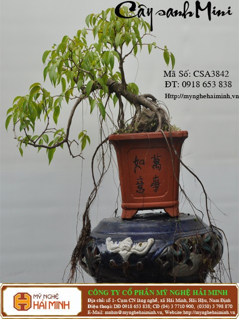 Do go my nghe Hai Minh - Hai Hau - Nam Dinh